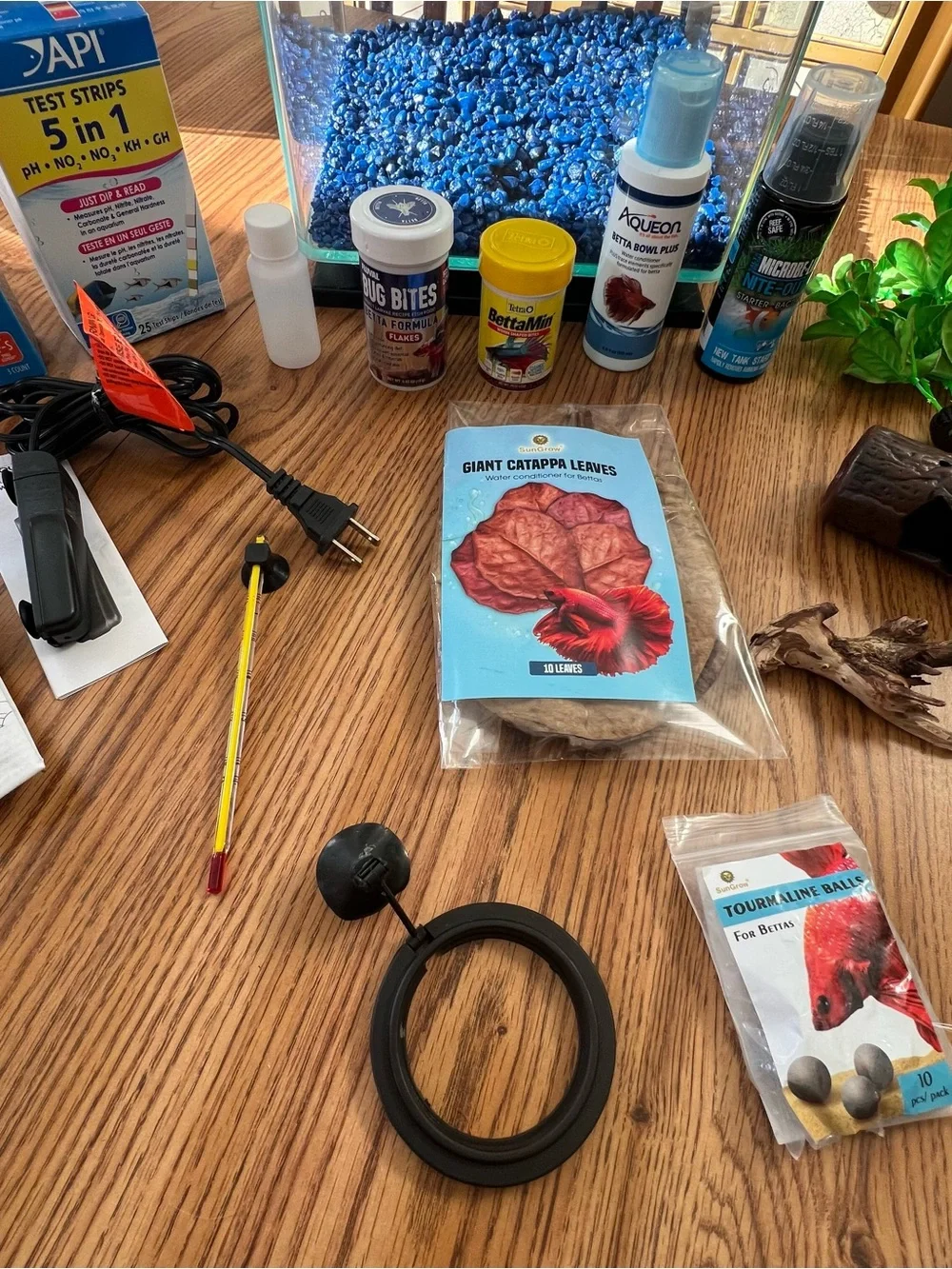 3 gallon aquarium kit